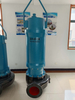 Sewage pump